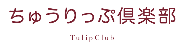 tulip