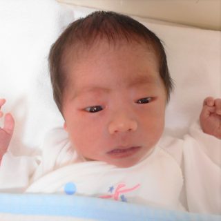 杏弥