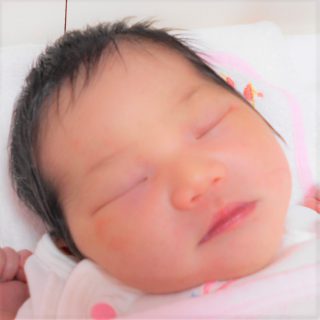 唯菜