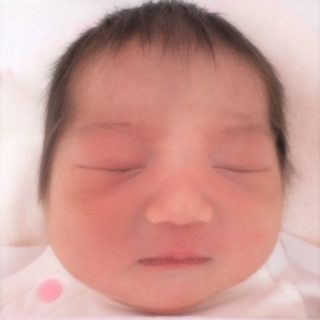 由芽