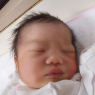 灯莉