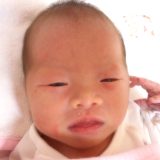 葵（あおい）
