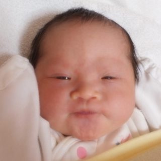 つくし