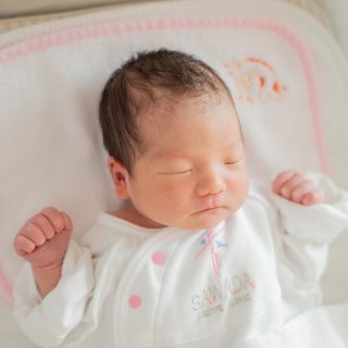 愛菜